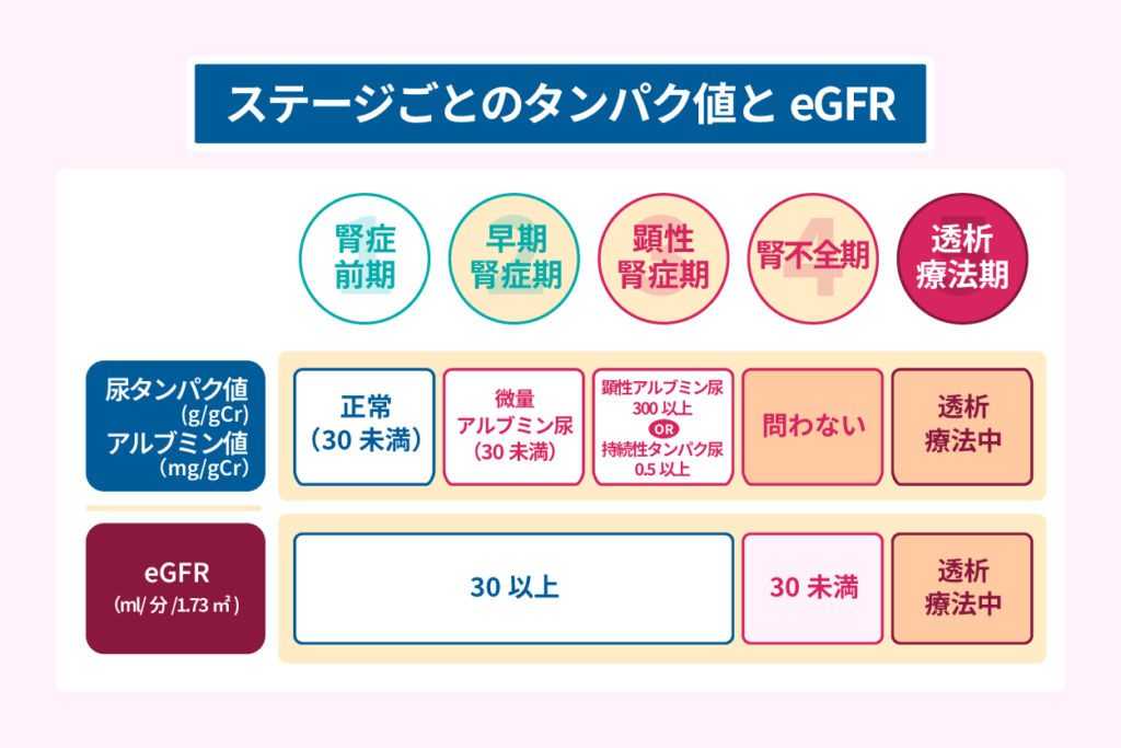 ステージごとの尿タンパク値とeGFR