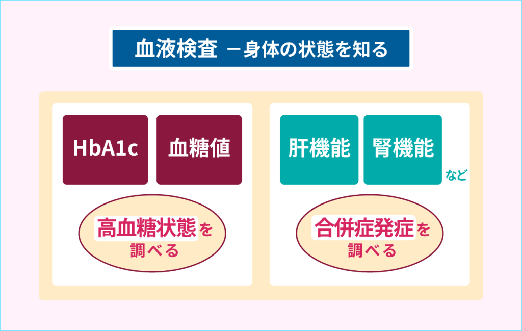 血液検査　身体の状態を知る