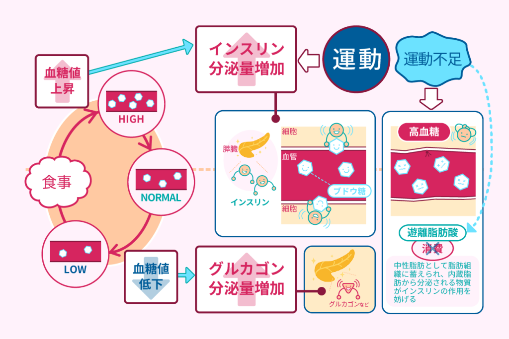 血糖値が下がるメカニズム