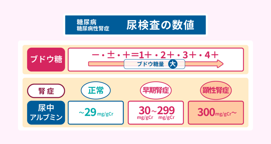 尿検査の数値