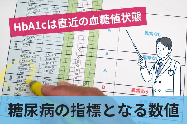 HbA1cは直近の血糖値状態を示し、糖尿病の診断や治療の指標となる数値