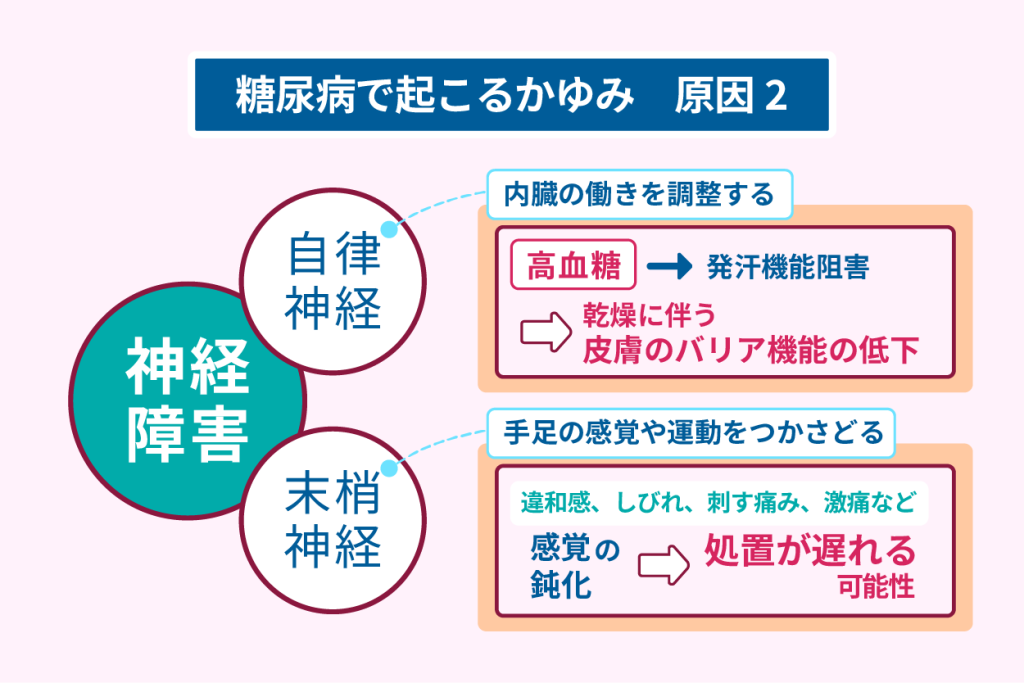 糖尿病で起こるかゆみ　原因２