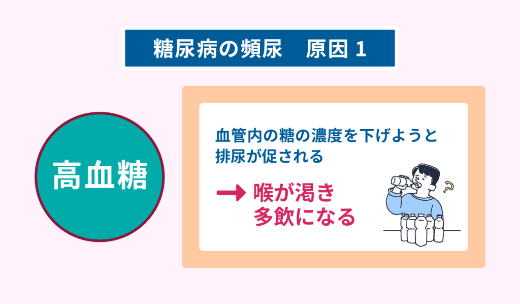 糖尿病の頻尿　原因１