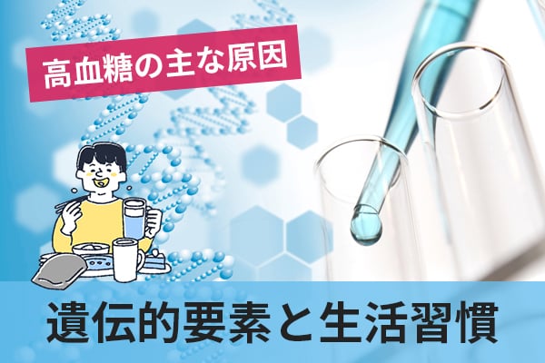 高血糖の主な原因は遺伝的要素と肥満や運動不足などの生活習慣