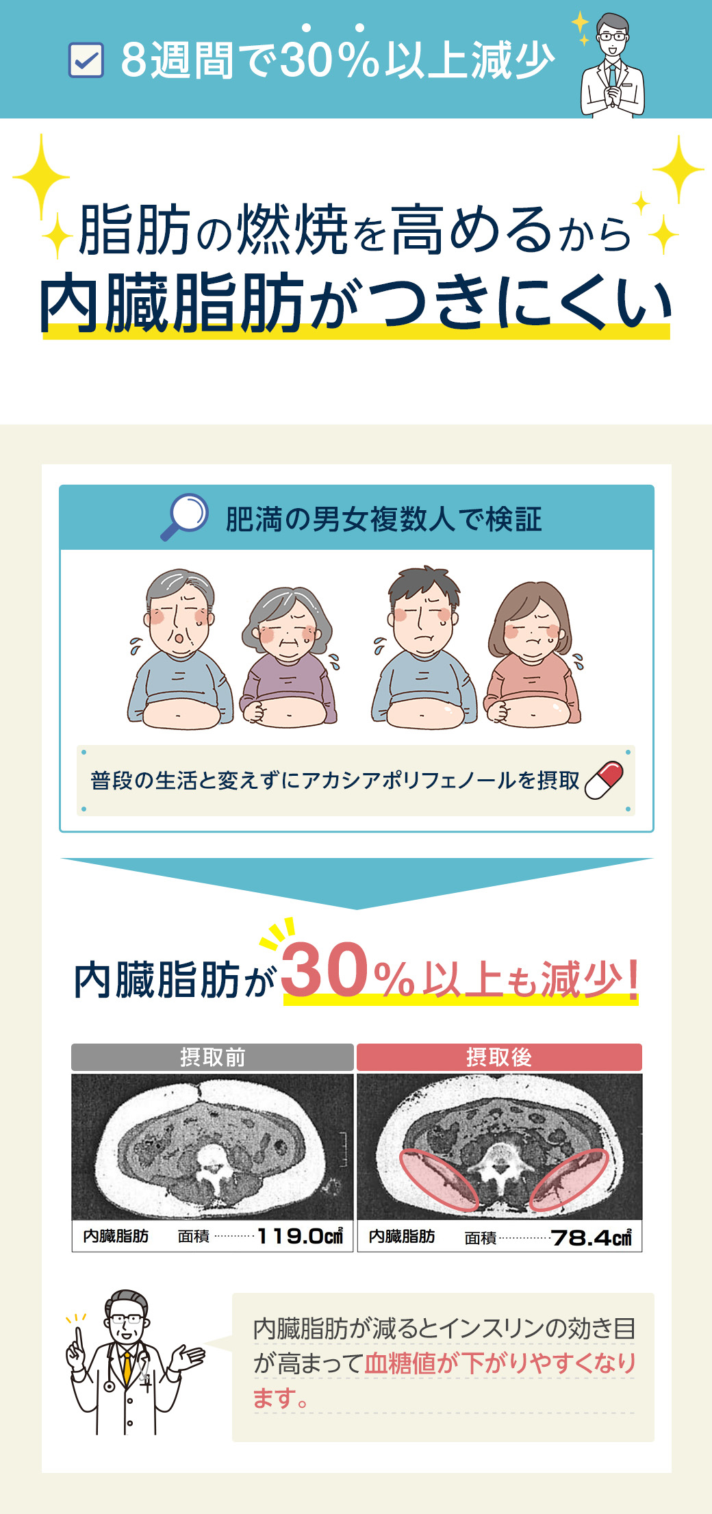 内臓脂肪が8週間で30％以上減少