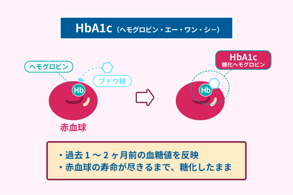 HbA1c （糖化ヘモグロビン）