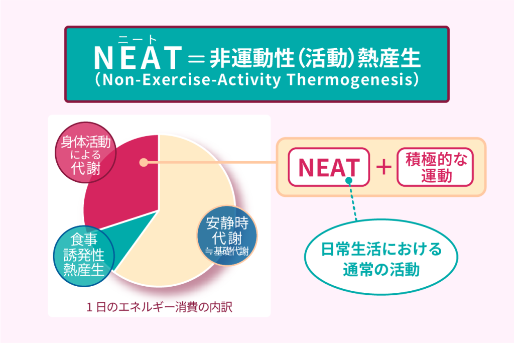 NEAT　非運動性（活動）熱産生