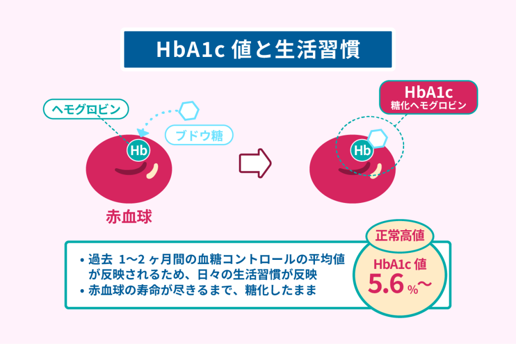 HbA1c値と生活習慣