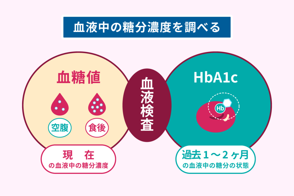 血液中の糖分濃度を調べる