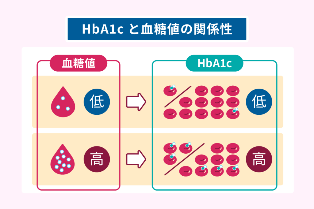 HbA1cと血糖値の関係性