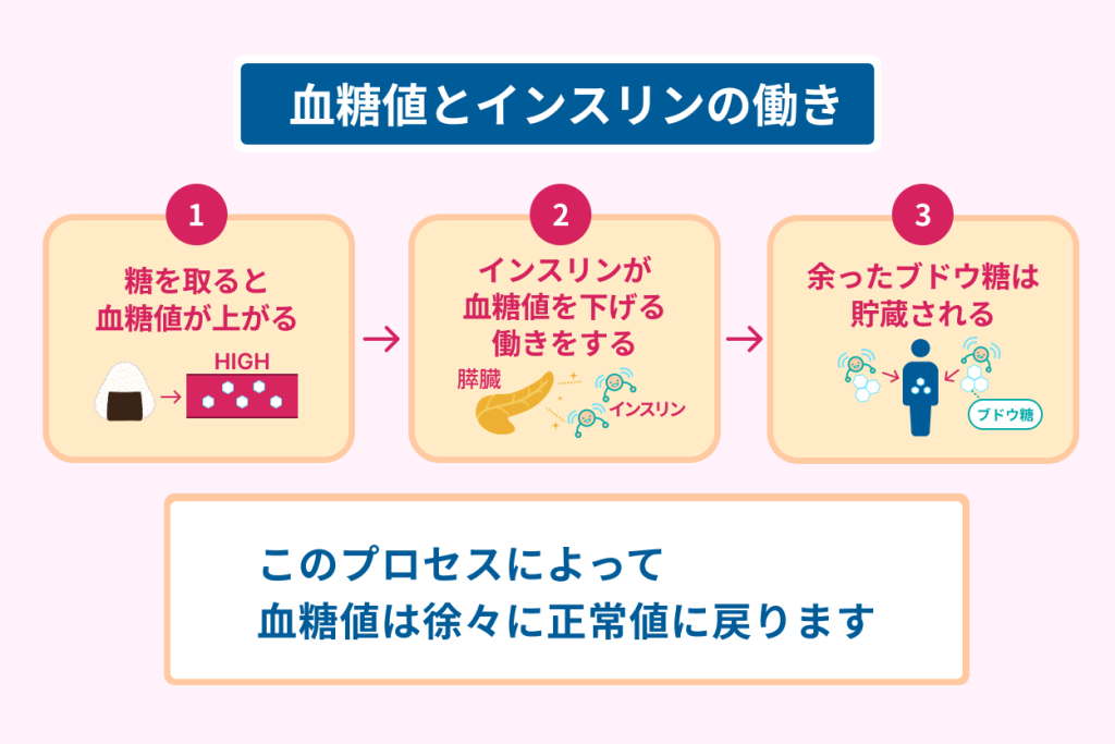 血糖値とインスリンの働き